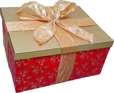 12-37cm x 8-18cm Gift Boxes - Gold/Red