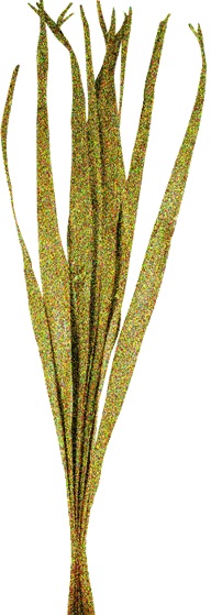 95cm Glittered Dried Palm Leaves - Gold
