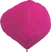 15cm-25cm Cobra Leaf - Red