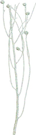 Glittered Twig Bundle w/ Pine Cones - Silver