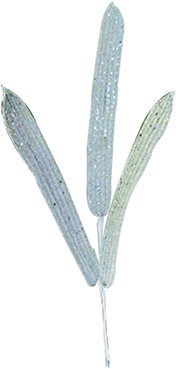 38cm Leaf Spray - Silver