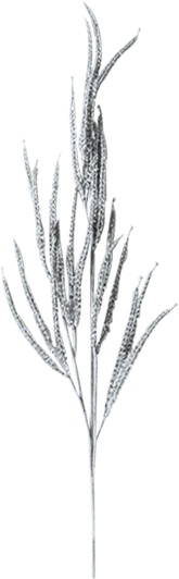 80cm Leaf Spray - Silver