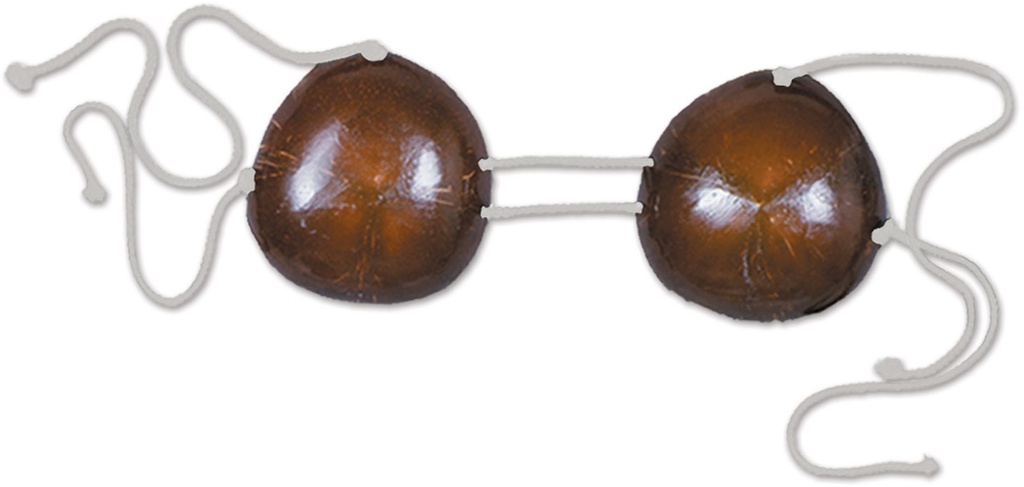 Adjustable Coconut Bikini Top