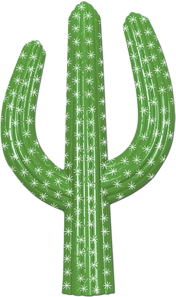 Plastic Cactus