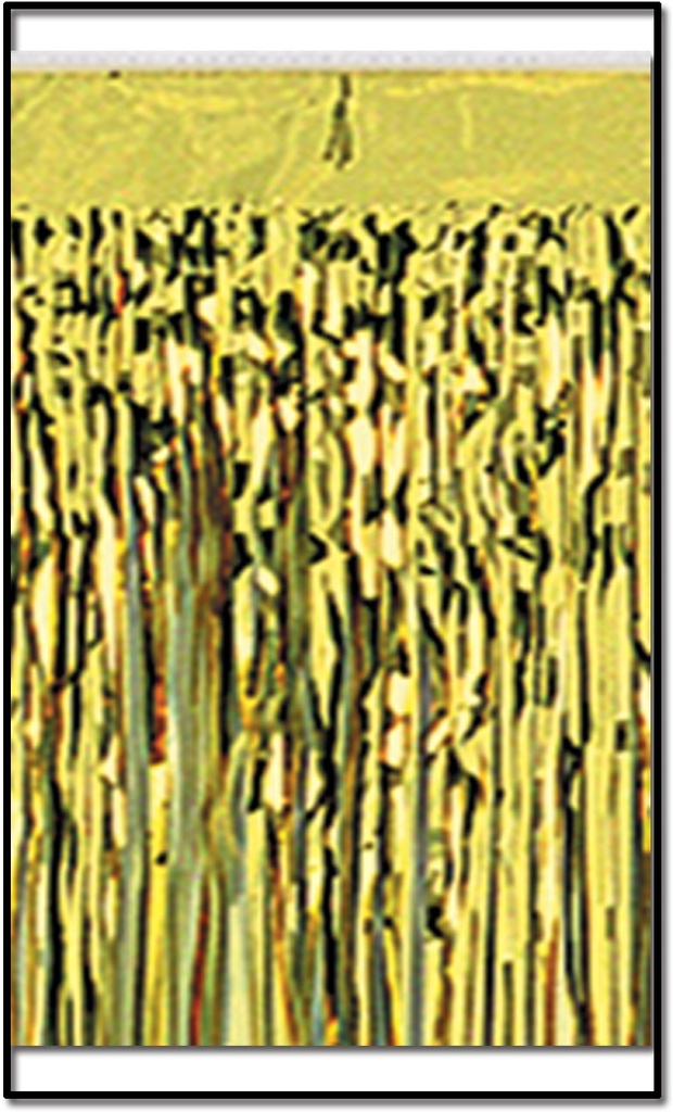 3m x 38cm Metallic Fringe Drape - Gold