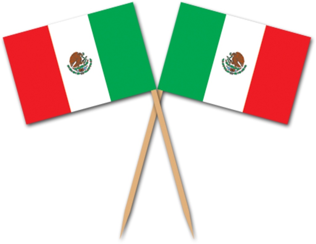 6.5cm Mexican Flag Picks