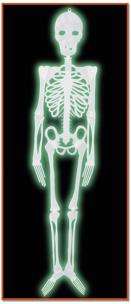 1.2m Plastic Nite-Glo Skeleton - White