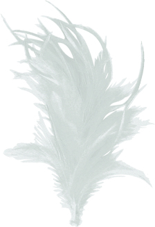 Feather with Clip - White