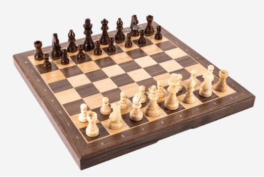 Brains Chess Board Set