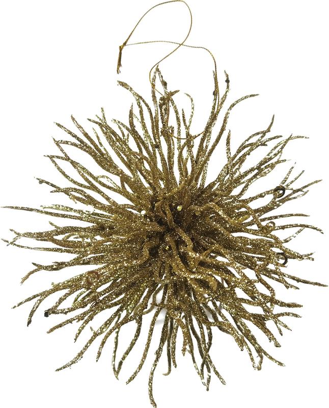 Prickly Burst, 18cm