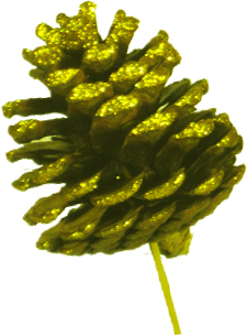 Glittered Pinecone
