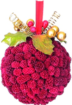 [REF008] 12cm Casuarina Ball - Red