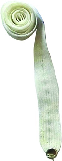 [EY034-W] 3m Glittered Belt Ribbon - White