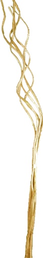 [GL157] 90cm Curly Twigs - White