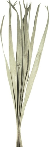 [GL166] 95cm Dried Palm Leaves - Silver