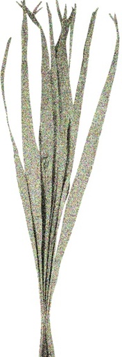 [GL167] 95cm Glittered Dried Palm Leaves - Silver
