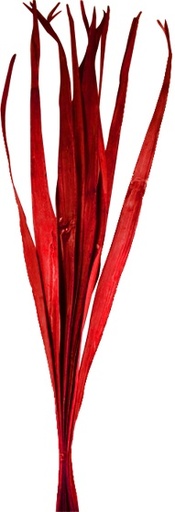 [GL168] 95cm Dried Palm Leaves - Red