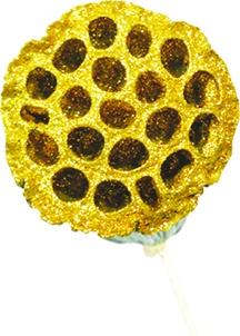 [GL001M-50-GD] 7cm w/ 50cm stem Glittered Lotus Pod - Gold