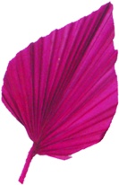 [GL079M-R] 10cm Palm Spear - Red