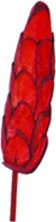 [GL118-10-R] 7cm w/ 10cm stem Sola Pine - Red