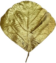 [GL178] 15cm-25cm Cobra Leaf - Gold