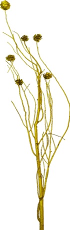[GL183] Twig Bundle w/ Pine Cones - Gold
