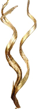 [GL206] Glittered Coco Lazer Curl - Gold