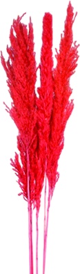 [GL216] Golden Stick Flower - Red