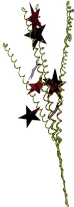 [1MGJ-GD] 43cm Decorated Branch w/ Stars - Gold/Red