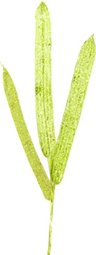 [EY025-GD] 38cm Leaf Spray - Gold