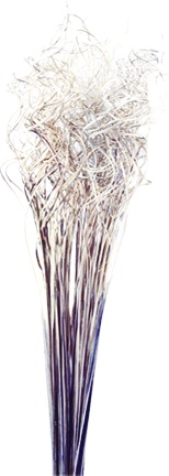 [GL073-W] 70cm Curly Sticks - White