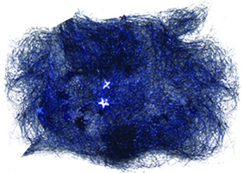 [RF1204-B] 20cm Angel Hair w/ Stars - Blue