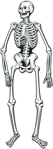 [01084] 56cm Jointed Skeletons - White/Black