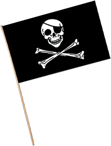 [50976] 43cm x 28cm Plastic Pirate Flag