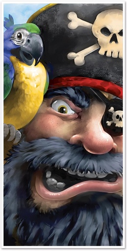 [54665] Pirate Door Cover