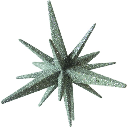 [LF069] 15cm 3D Exploding Star Ornament - Silver