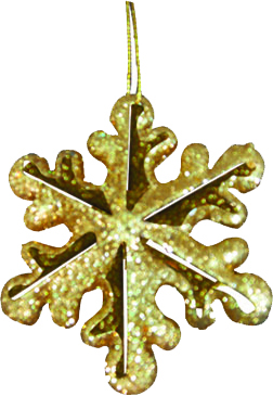 [RN115] SNOW 10CM S/1 OPP BAG - GOLD