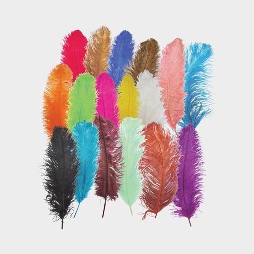 [ZZ006-R] 60cm Ostrich Feather - Red
