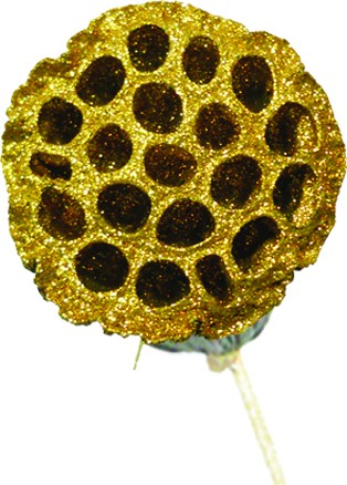 [GL001L-15-GD] 9cm Lotus Pod with 15cm Stem - Gold