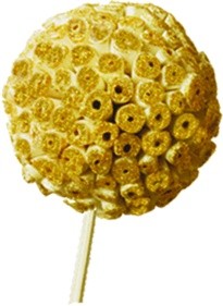 [GL133L-15-GD] 10cm Sola Ata Ball with 15cm Stem - Gold