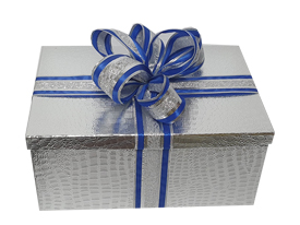 [AB015-S] L: 22-31, W:16-22, H: 8-12 cm Gift Boxes with Ribbon - Silver/Blue